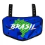 Brazil Flag B